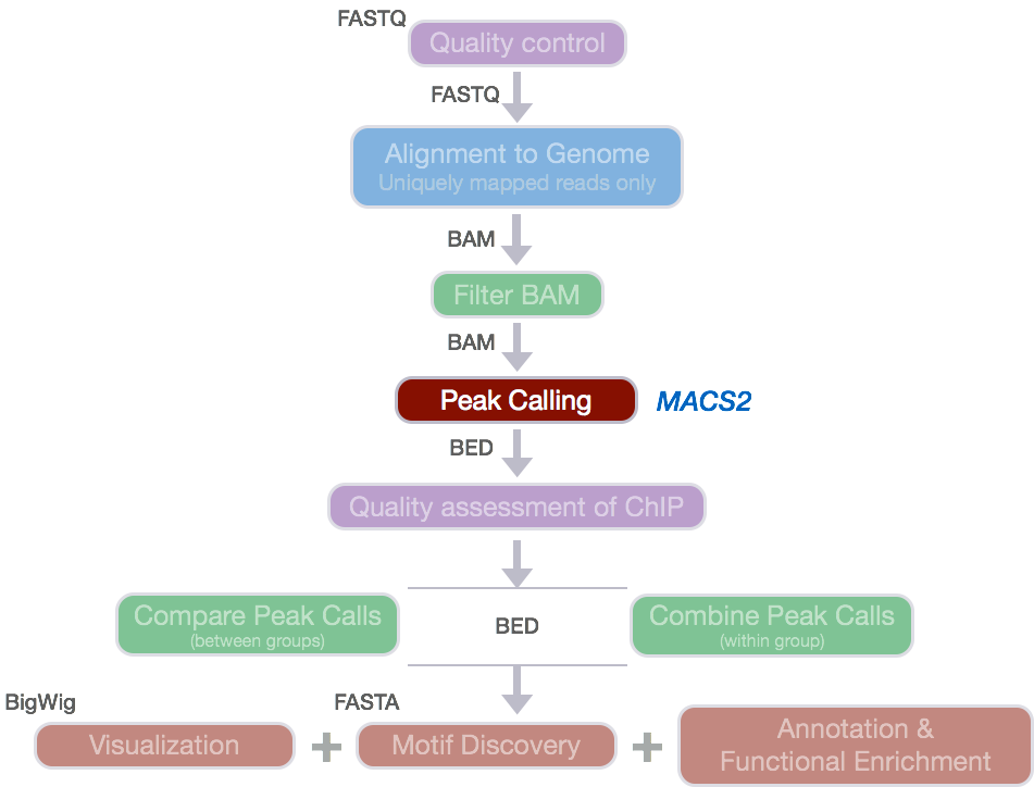 Chip_encode_pipeline_2021-03-23_16-55-18.png