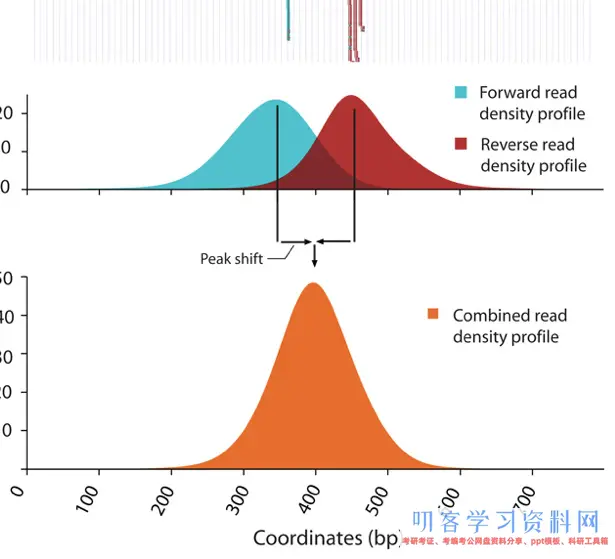 ATAC-Seq剖析教程：对ATAC-Seq/ChIP-seq的质量评价（一）phantompeakqualtools