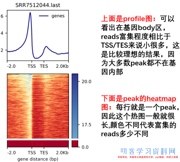 ATAC-Seq根底剖析+高档剖析+多组学剖析