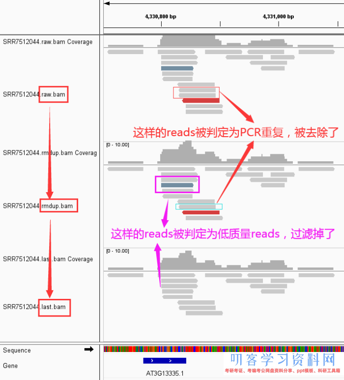 ATAC-Seq根底剖析+高档剖析+多组学剖析