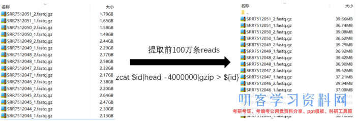 ATAC-Seq根底剖析+高档剖析+多组学剖析