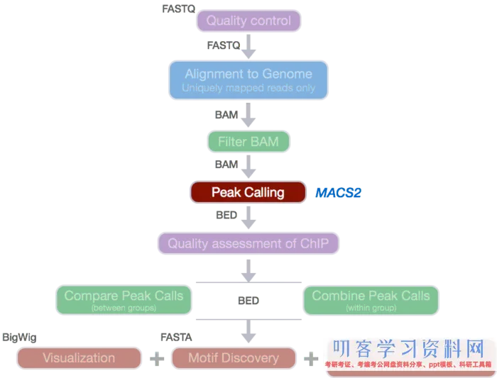 ATAC-Seq剖析教程：用MACS2软件call peaks