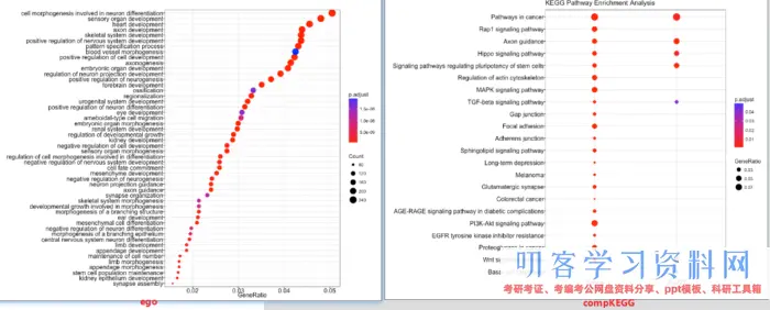 ATAC-Seq剖析教程：用ChIPseeker对peaks进行注释和可视化