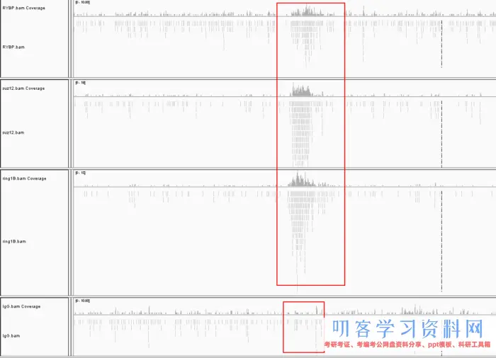 ChIP-seq基础入门