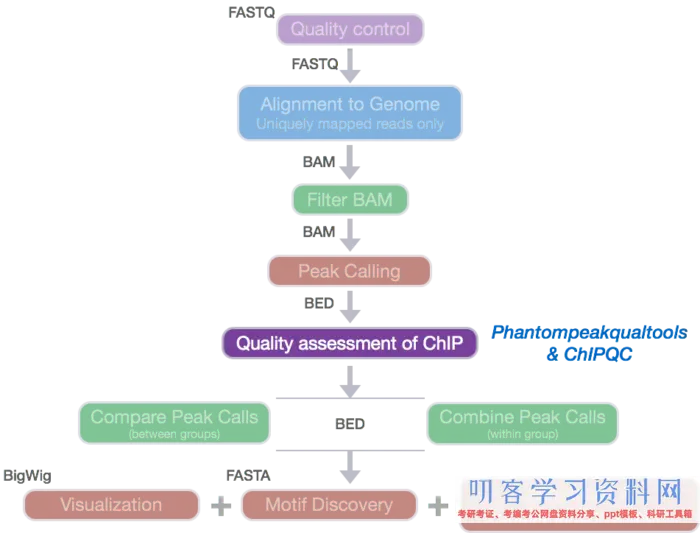 ATAC-Seq剖析教程：对ATAC-Seq/ChIP-seq的质量评价（一）phantompeakqualtools