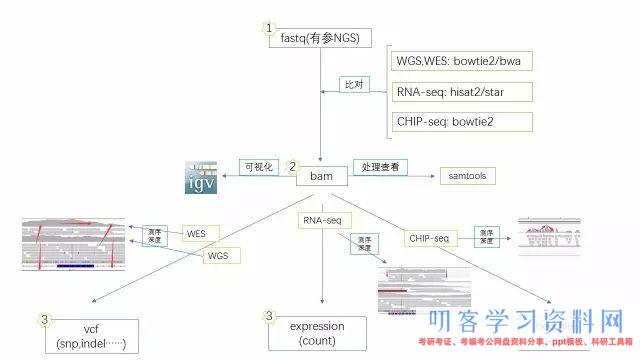 WGS,WES,RNA-Seq与ChIP-seq之间的异同