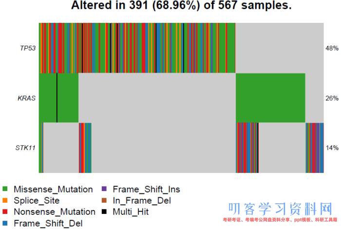 肿瘤变异数据分析和可视化工具maftools：突变的数据分析