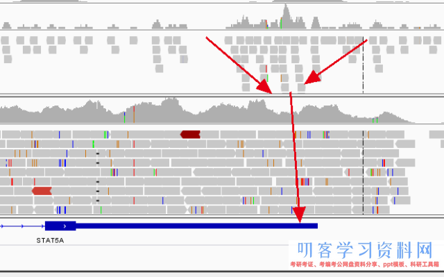 WGS,WES,RNA-Seq与ChIP-seq之间的异同