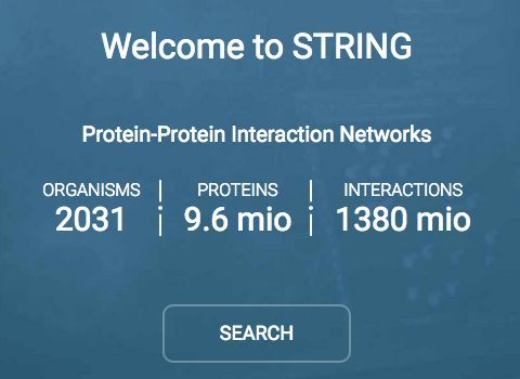 这四个网站了解一下，让你轻松预测相互作用蛋白！