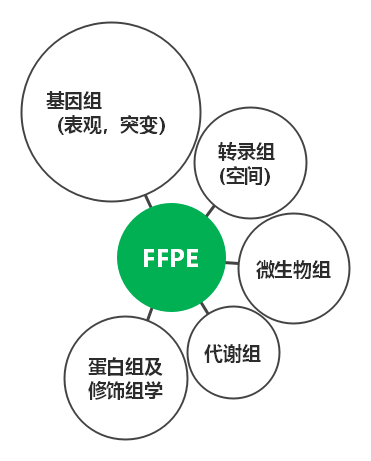 「如何FFPE样本中获得高质量DNA？」，带你解锁！